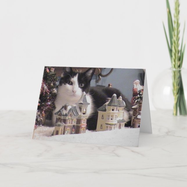 A Boo Boo Christmas Holiday Card (Front)