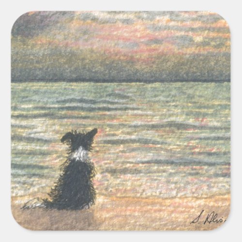 A Border Collie dog says hello to the morning Square Sticker