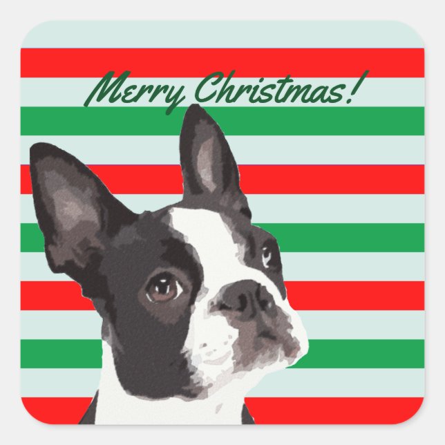 A Boston Terrier Merry Christmas Square Sticker (Front)