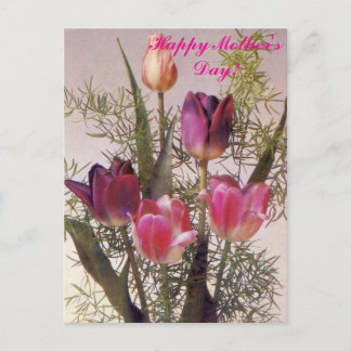 A bouquet of pink tulips in various shades,Happy M Postcard