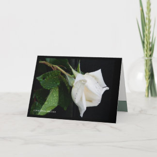 A Bow to Morning Card