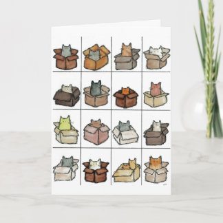 A Box For Every Cat Greeting Card