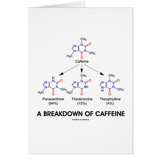 A Breakdown Of Caffeine (Chemical Molecules) Cards (Front)