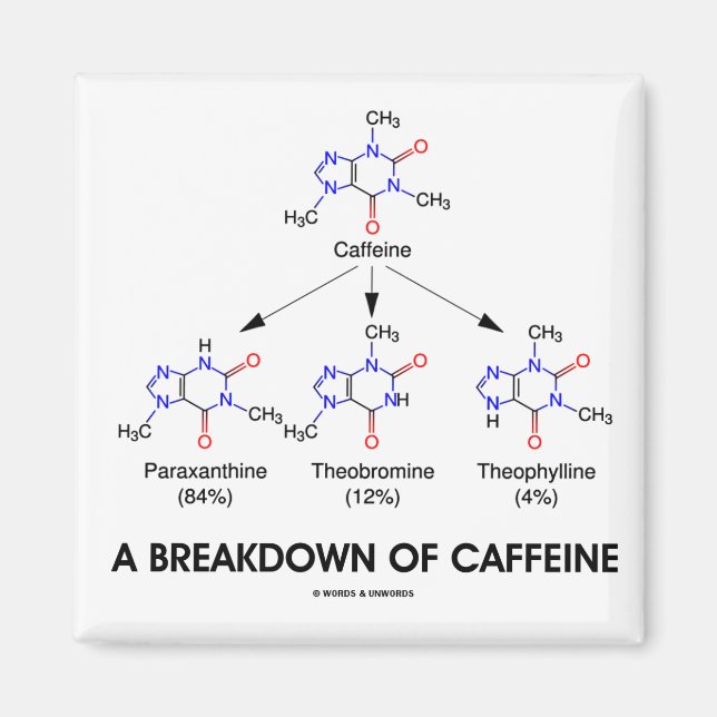 A Breakdown Of Caffeine (Chemical Molecules) Magnet (Front)