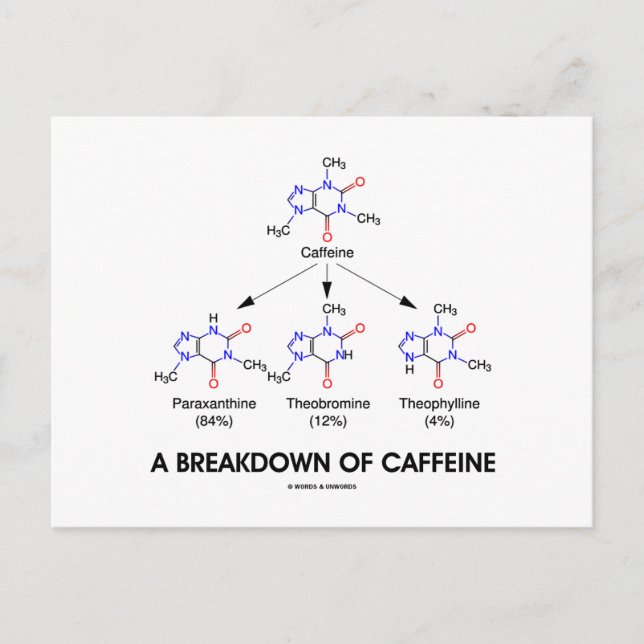 A Breakdown Of Caffeine (Chemical Molecules) Postcard (Front)
