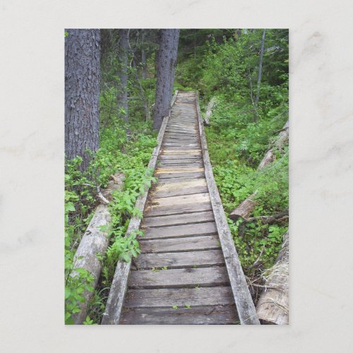 A bridge in the woods postcard
