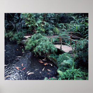 A bridge over a goldfish pond surrounded by poster