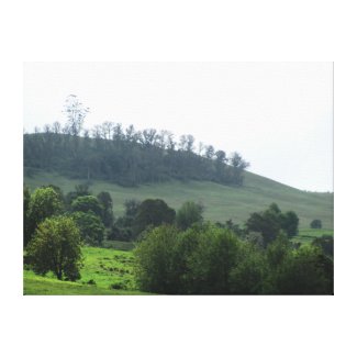 A bright patch Upcountry Canvas Print