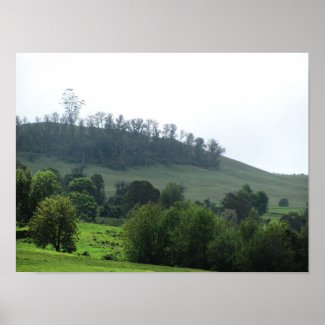A bright patch Upcountry