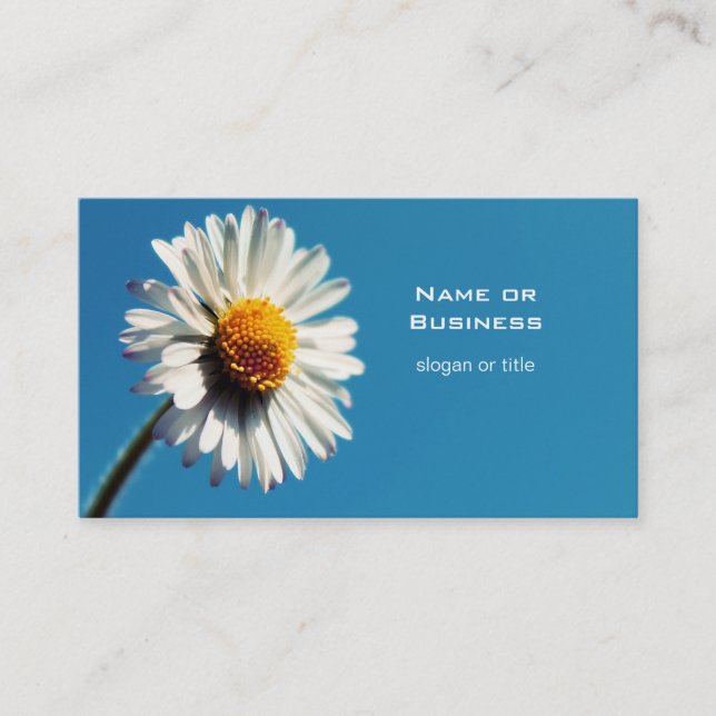 A Bright White Daisy under a Big Blue Sky Business Card (Front)