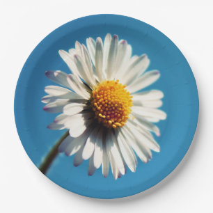 A Bright White Daisy under a Big Blue Sky Paper Plates