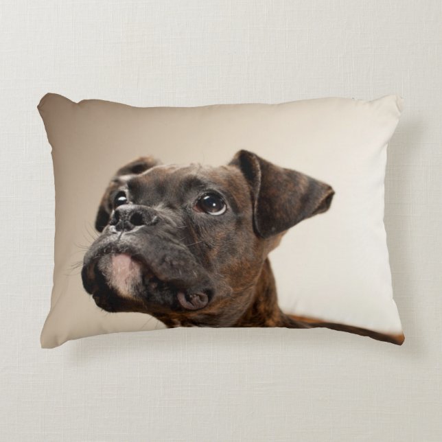 A Brindle Boxer puppy looking up curiously. Decorative Pillow (Front)