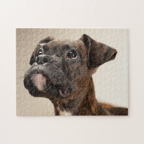 A Brindle Boxer puppy looking up curiously Jigsaw Puzzle