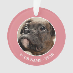 A Brindle Boxer puppy looking up curiously. Ornament