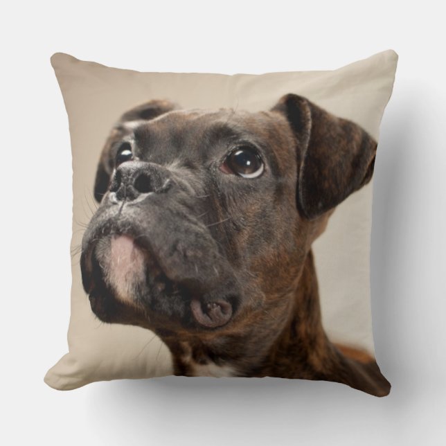 A Brindle Boxer puppy looking up curiously. Throw Pillow (Front)
