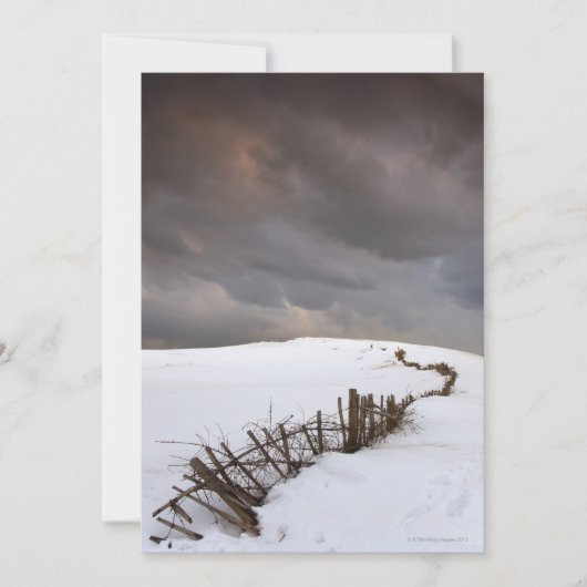 A Broken Fence (Front)