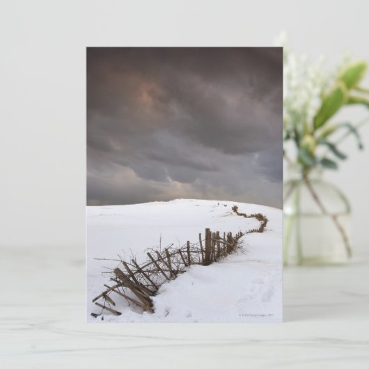 A Broken Fence (Standing Front)