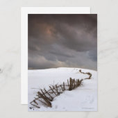 A Broken Fence (Front/Back)