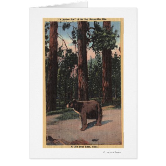 A Brown Bear in the Woods Cards (Front)