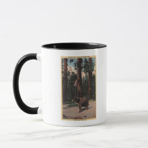 A Brown Bear in the Woods Mug