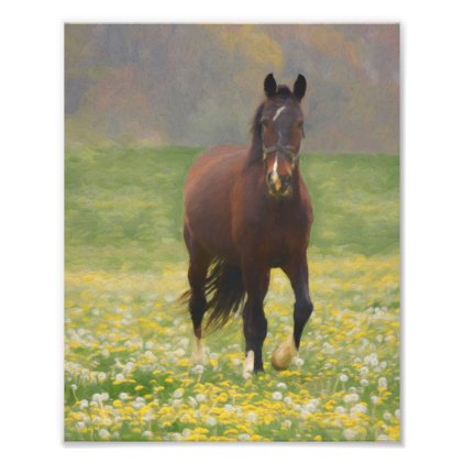A Brown Horse in a Field with Dandelions Photo Print