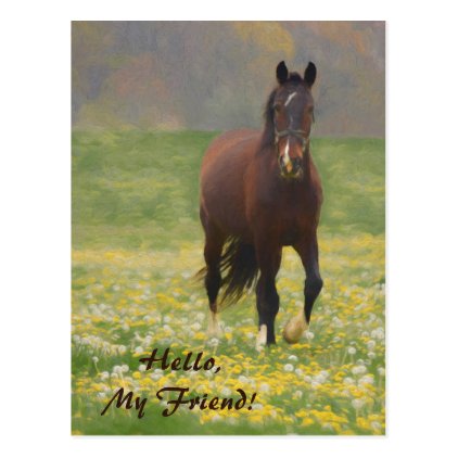 A Brown Horse in a Field with Dandelions Postcard