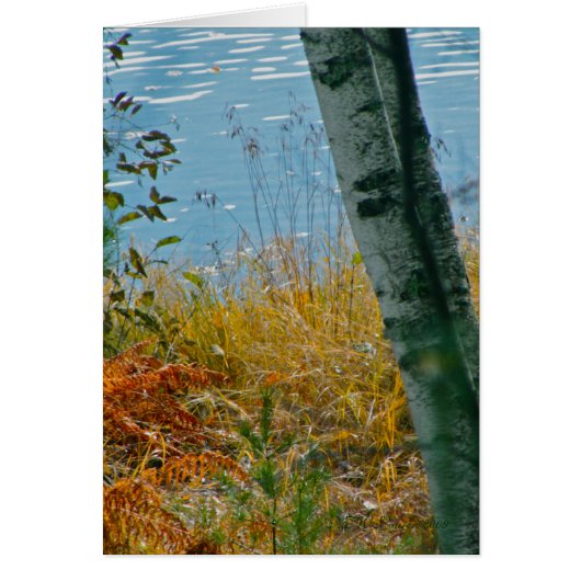 A Brush With Autumn Cards (Front)