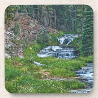A Buck Rests at a Cascading River Beverage Coaster