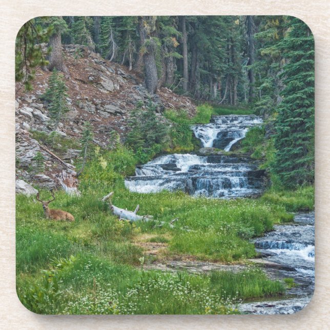 A Buck Rests at a Cascading River Beverage Coaster (Front)