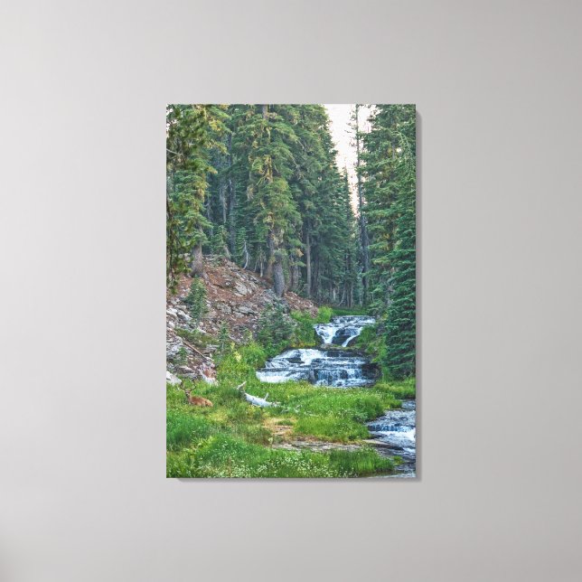 A Buck Rests at a Cascading River Canvas Print (Front)