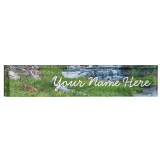 A Buck Rests at a Cascading River Desk Name Plate