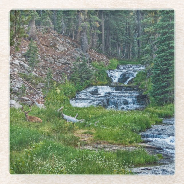 A Buck Rests at a Cascading River Glass Coaster (Front)