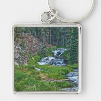 A Buck Rests at a Cascading River Keychain