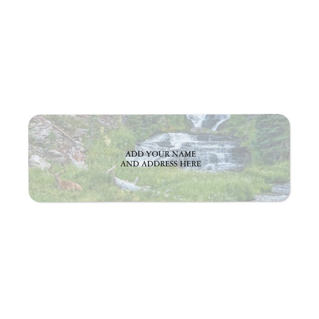 A Buck Rests at a Cascading River Label (Front)