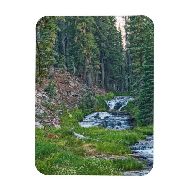 A Buck Rests at a Cascading River Magnet (Vertical)