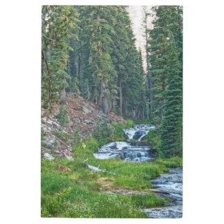 A Buck Rests at a Cascading River Metal Print