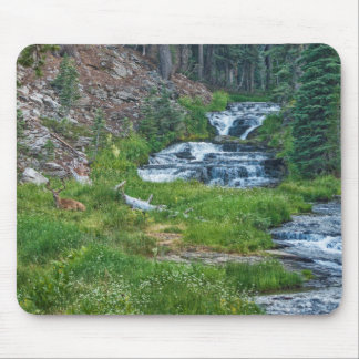 A Buck Rests at a Cascading River Mouse Pad