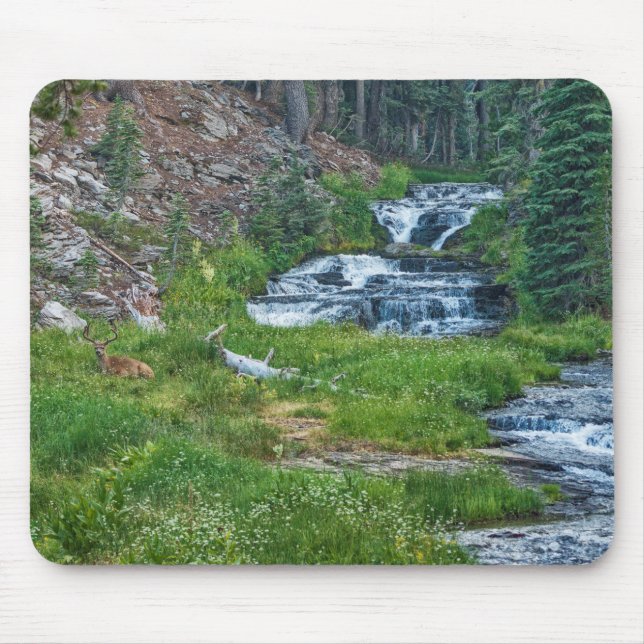 A Buck Rests at a Cascading River Mouse Pad (Front)