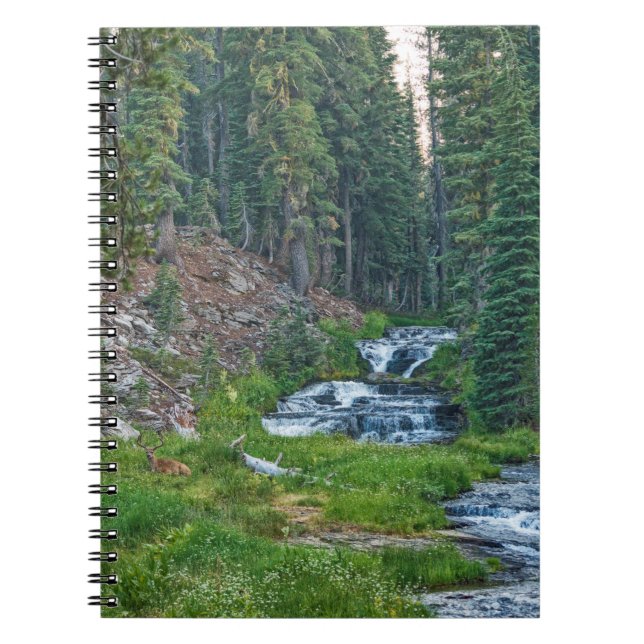 A Buck Rests at a Cascading River Notebook (Front)