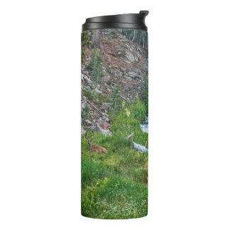 A Buck Rests at a Cascading River Thermal Tumbler