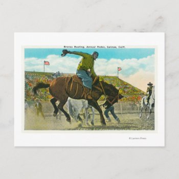 A Bucking Bronco At The Annual Salinas Rodeo Postcard by LanternPress at Zazzle