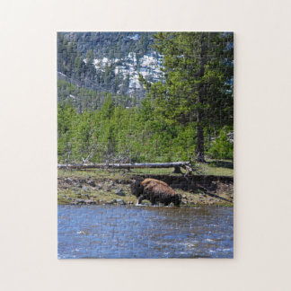 A bull buffalo crosses a river in Yellowstone Jigsaw Puzzle