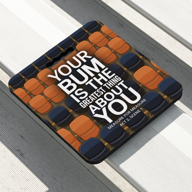 A Bum Deal: Funny, Modern, Sports Seat Cushion (In Situ)