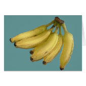 a bunch of bananas (Front Horizontal)