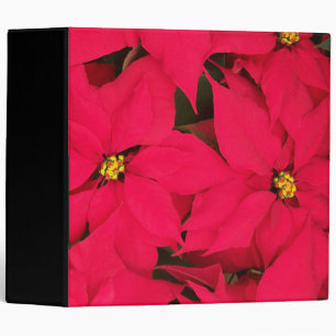 A bunch of Brightly Colored Christmas Poinsettias 3 Ring Binder