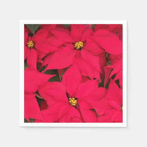 A bunch of Brightly Colored Christmas Poinsettias Napkins