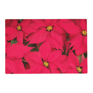 A bunch of Brightly Colored Christmas Poinsettias Placemat