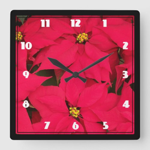 A bunch of Brightly Colored Christmas Poinsettias Square Wall Clock