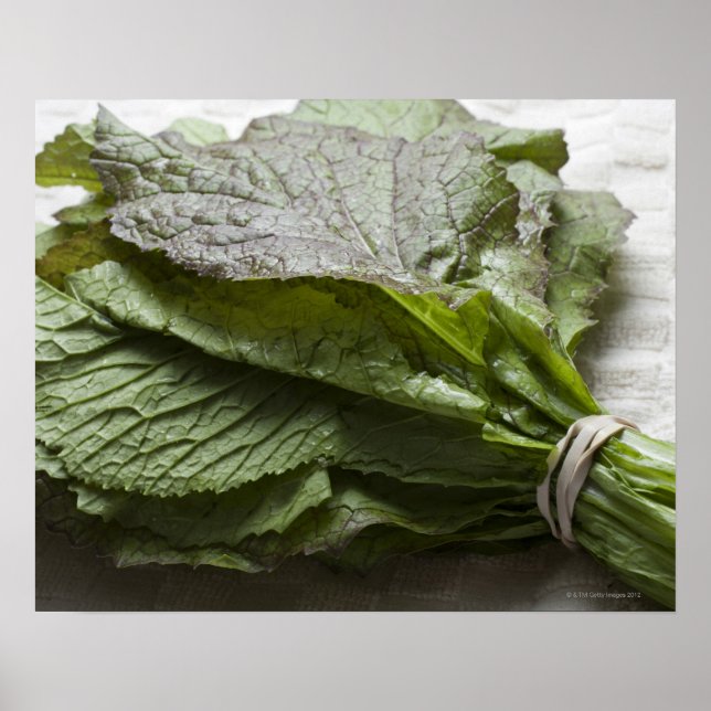 A bunch of fresh mustard greens, from a farmer's poster (Front)