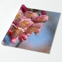 Blush pink Sakura CHerry Blossom Japanese Wrapping Paper, Zazzle